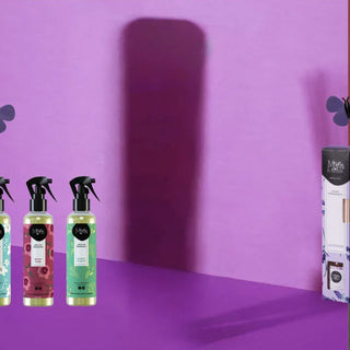 AIR FRESHENERS Detailer South Africa.