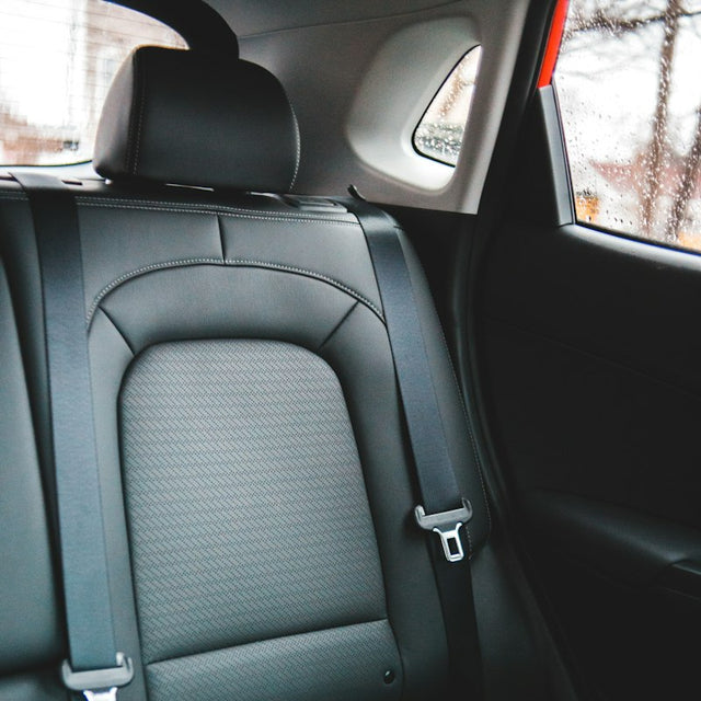 Interior Protection