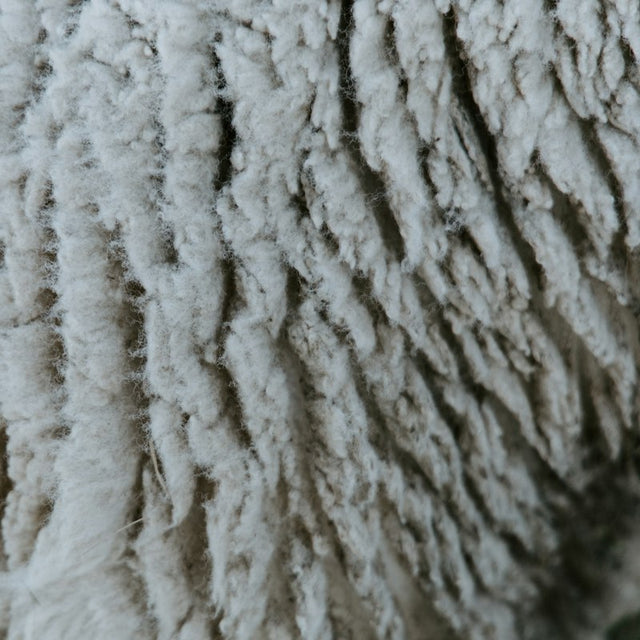 Wool Pads