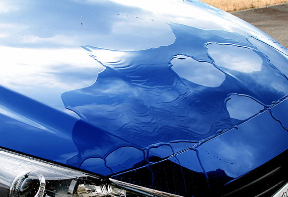 Soft99 Hydro Flash Spray Coating