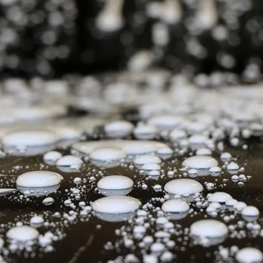 Protector Wax Koch Chemie.