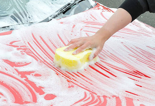 Soft99 Pro Car Wash Sponge